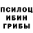 Галлюциногенные грибы Psilocybine cubensis ppl 80982134098756