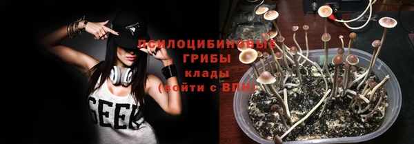 дурь Волоколамск