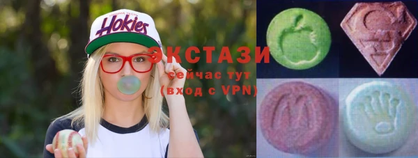 шишки Сосновый Бор
